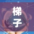 梯子式软件体验