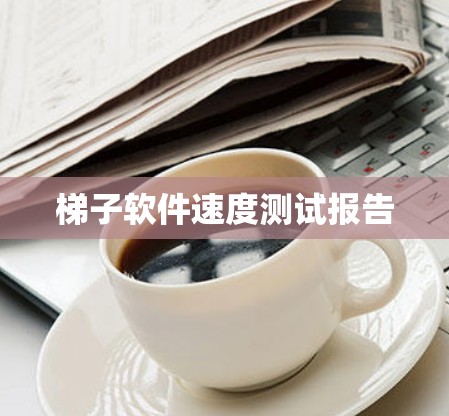 梯子软件速度测试报告