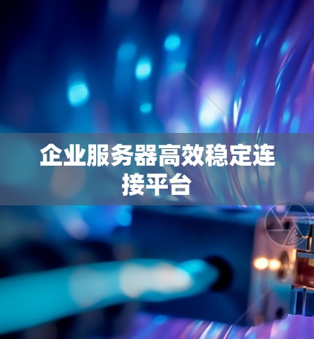 企业服务器高效稳定连接平台