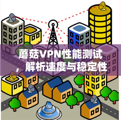 蘑菇VPN性能测试，解析速度与稳定性