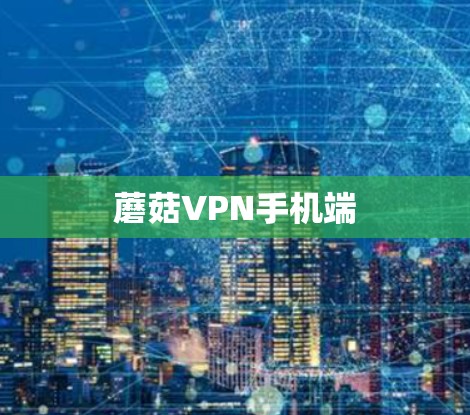 蘑菇VPN手机端