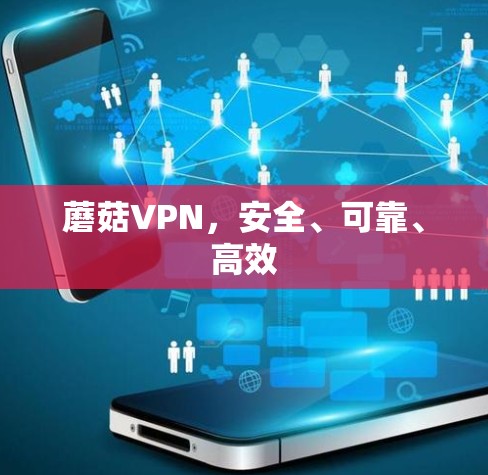 蘑菇VPN，安全、可靠、高效