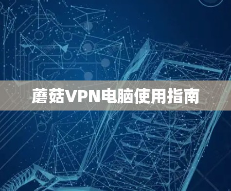 蘑菇VPN电脑使用指南 蘑菇VPN电脑使用指南