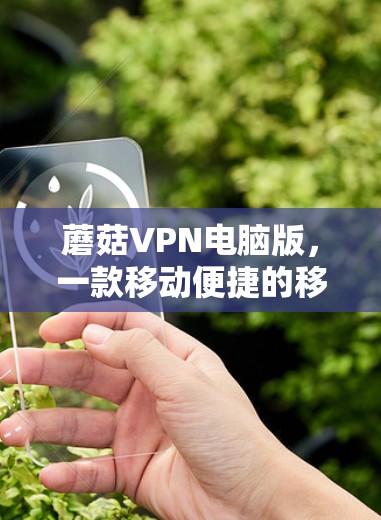 蘑菇VPN电脑版,一款移动便捷的移动VPN解决方案 蘑菇VPN电脑版,一款移动便捷的移动VPN解决方案