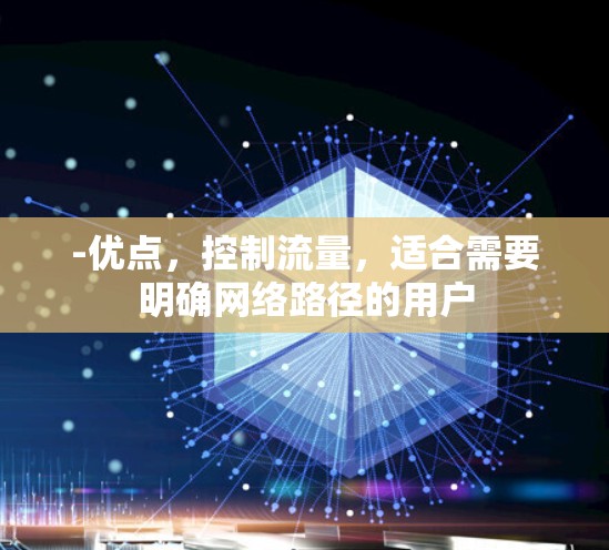-优点,控制流量,适合需要明确网络路径的用户 -优点,控制流量,适合需要明确网络路径的用户