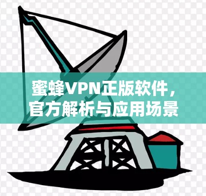 蜜蜂VPN正版软件,官方解析与应用场景分析 蜜蜂VPN正版软件,官方解析与应用场景分析