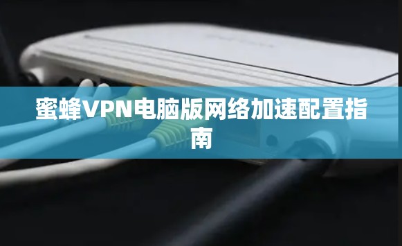 蜜蜂VPN电脑版网络加速配置指南 蜜蜂VPN电脑版网络加速配置指南