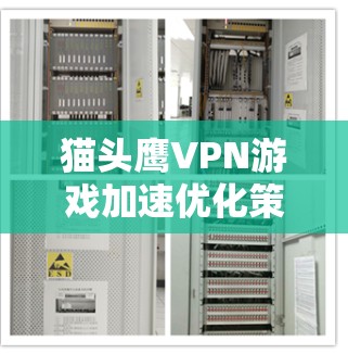 猫头鹰VPN游戏加速优化策略研究