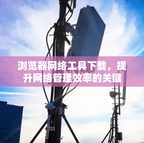 浏览器网络工具下载，提升网络管理效率的关键