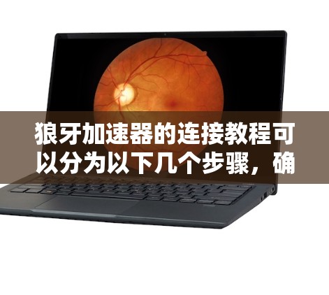 狼牙加速器的连接教程可以分为以下几个步骤，确保您能够顺利完成配置和使用