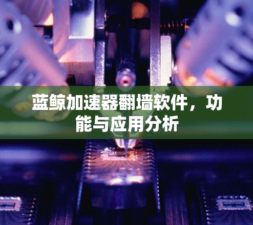 蓝鲸加速器翻墙软件,功能与应用分析 蓝鲸加速器翻墙软件,功能与应用分析