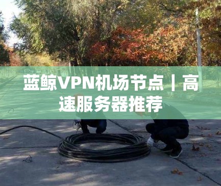 蓝鲸VPN机场节点｜高速服务器推荐