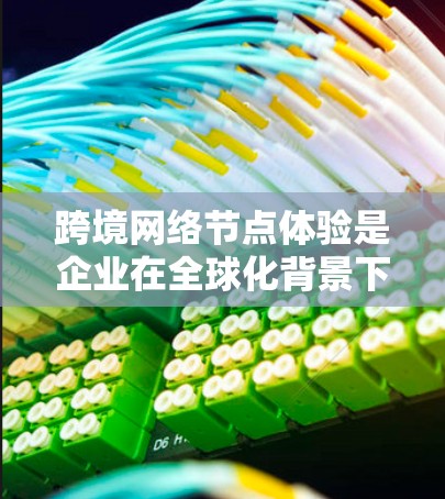 跨境网络节点体验是企业在全球化背景下进行数据管理和业务扩展的关键策略。以下是对跨境网络节点体验的详细分析和总结 跨境网络节点体验是企业在全球化背景下进行数据管理和业务扩展的关键策略。以下是对跨境网络节点体验的详细分析和总结