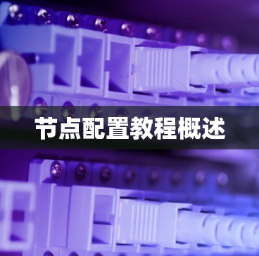 节点配置教程概述