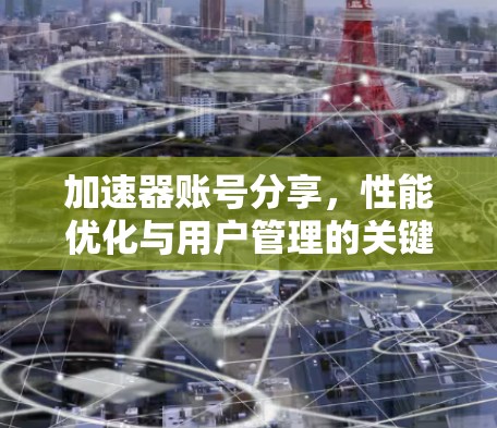 加速器账号分享，性能优化与用户管理的关键技术