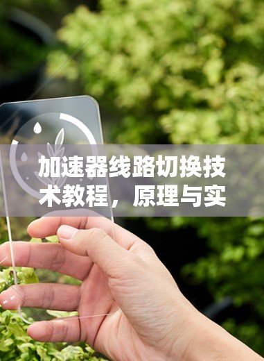 加速器线路切换技术教程,原理与实现 加速器线路切换技术教程,原理与实现