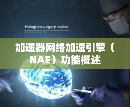 加速器网络加速引擎（NAE）功能概述