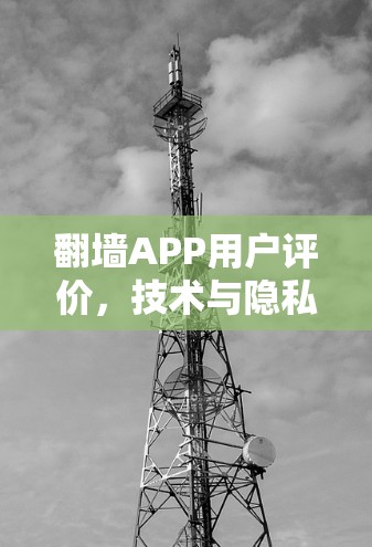 翻墙APP用户评价，技术与隐私的双刃剑