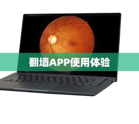 翻墙APP使用体验 翻墙APP使用体验