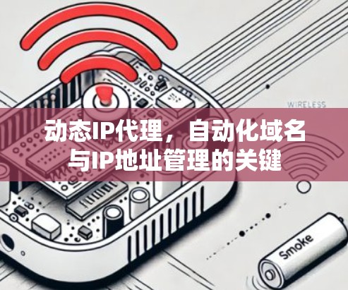 动态IP代理,自动化域名与IP地址管理的关键 动态IP代理,自动化域名与IP地址管理的关键