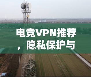 电竞VPN推荐，隐私保护与游戏性能优化之道