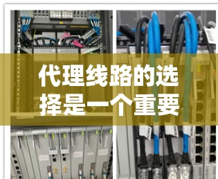 代理线路的选择是一个重要的决策过程，需要综合考虑多个因素，以确保代理业务的可行性和成功率。以下是一些关键因素和步骤，帮助你做出明智的选择