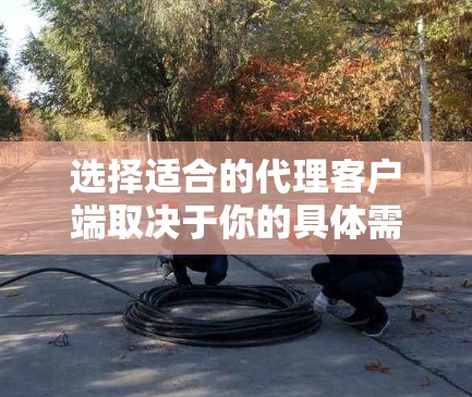 选择适合的代理客户端取决于你的具体需求,以下是一些常见的代理客户端及其特点,供你参考 选择适合的代理客户端取决于你的具体需求,以下是一些常见的代理客户端及其特点,供你参考
