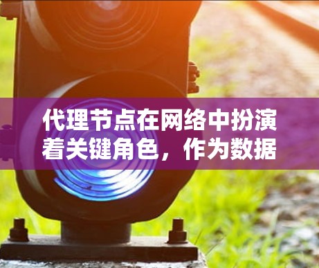 代理节点在网络中扮演着关键角色,作为数据转发和负载均衡的中枢,有效支持多种应用场景。以下是对代理节点的全面总结 代理节点在网络中扮演着关键角色,作为数据转发和负载均衡的中枢,有效支持多种应用场景。以下是对代理节点的全面总结
