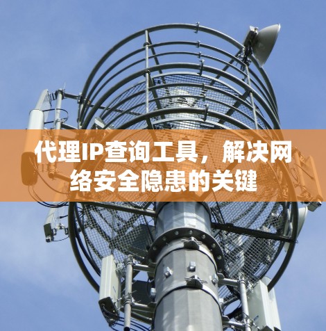 代理IP查询工具，解决网络安全隐患的关键
