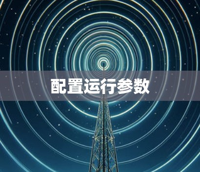 配置运行参数