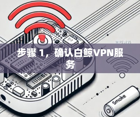 步骤 1，确认白鲸VPN服务