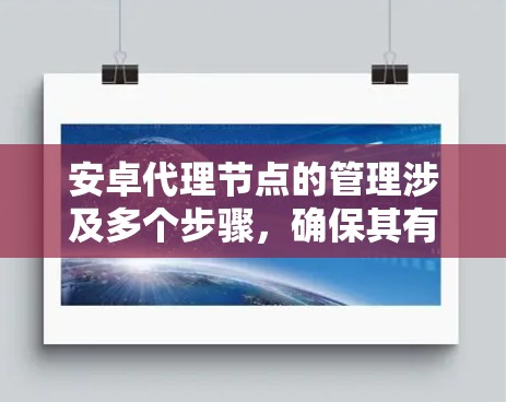 安卓代理节点的管理涉及多个步骤，确保其有效运行和安全性。以下是分步骤的指导
