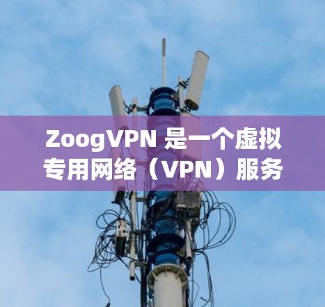 ZoogVPN 是一个虚拟专用网络（VPN）服务，允许用户通过加密 tunnels 保持匿名，保护隐私，访问受限的网站或网络。以下是使用 ZoogVPN 在电脑上的步骤