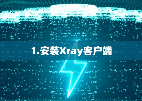 1.安装Xray客户端 1.安装Xray客户端