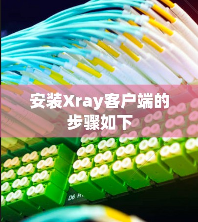 安装Xray客户端的步骤如下