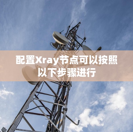 配置Xray节点可以按照以下步骤进行 配置Xray节点可以按照以下步骤进行