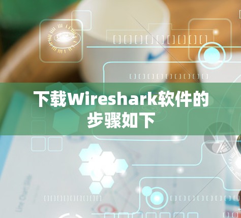 下载Wireshark软件的步骤如下 下载Wireshark软件的步骤如下