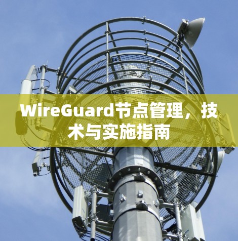 WireGuard节点管理,技术与实施指南 WireGuard节点管理,技术与实施指南