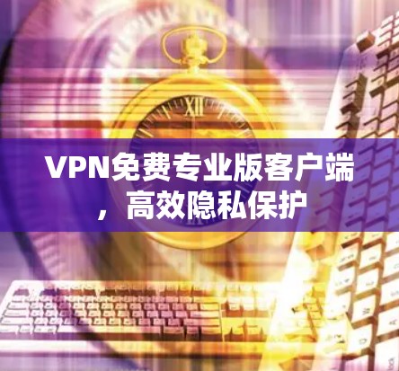 VPN免费专业版客户端,高效隐私保护 VPN免费专业版客户端,高效隐私保护